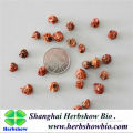 New seeds:Chinese flowering crabapple seeds sale on line